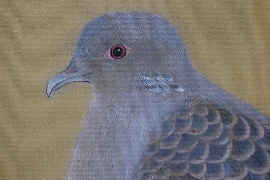 【模写】土田麦僊/梅花鳩之図/掛軸☆宝船☆X-632