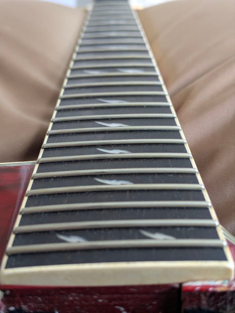 ギター Epiphone Les Paul Custom Prophecy GX