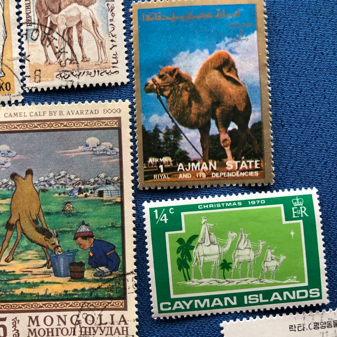 世界の駱駝（ラクダ）図柄の切手１０種　うちモンゴルが４種　癒されます！