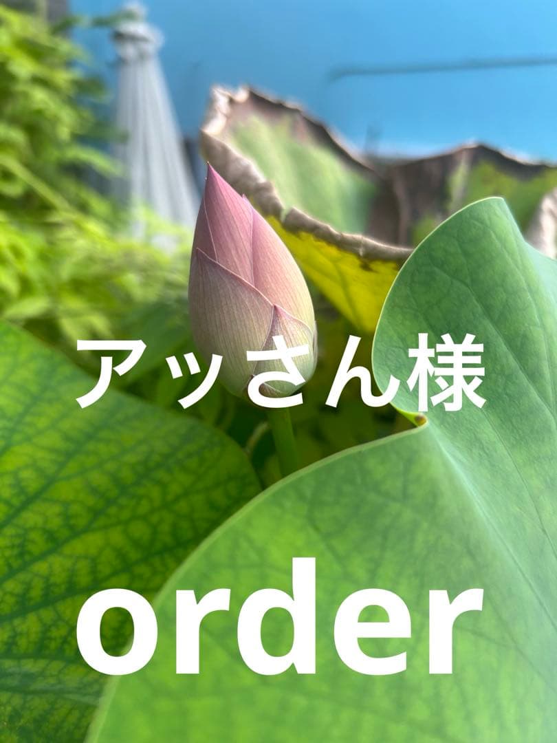 アッさん様