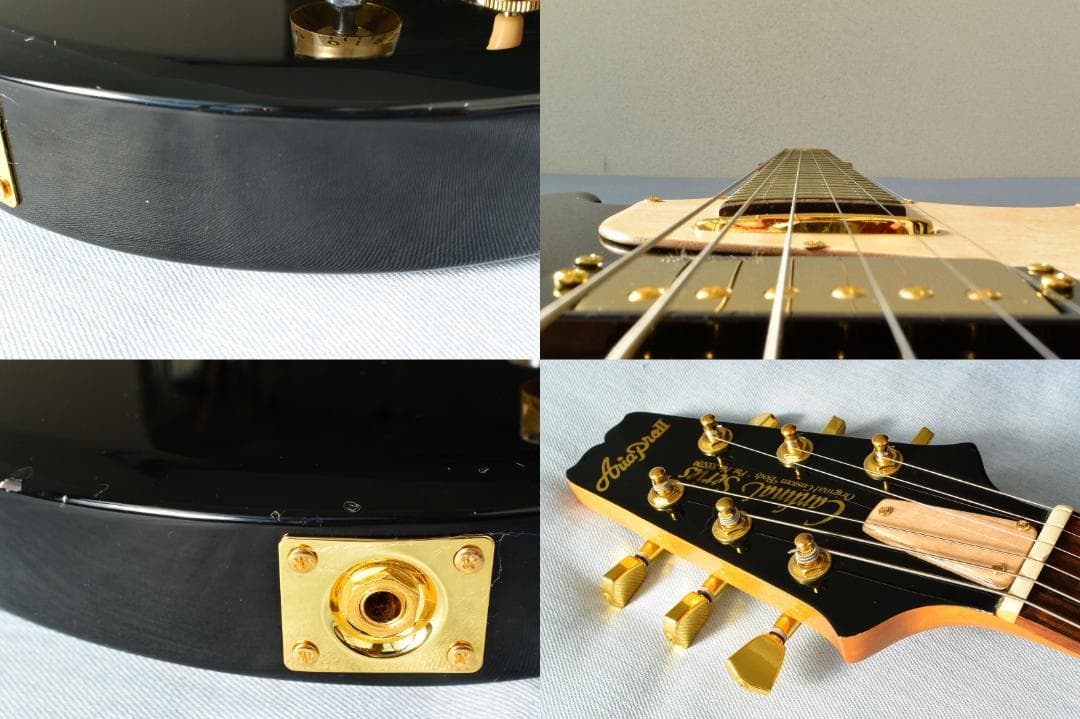 Aria Pro II CS-350T ピックアップ増設 バーズアイピックガード