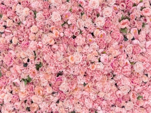背景布【薔薇I】ローズ　サンプル　ドール、トリミング、ペット撮影用　フォトブース