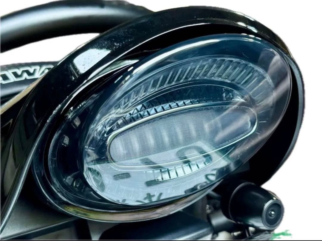 スモークタイプ！カワサキ Z900RS Z650RSテールランプ ルミナスLED