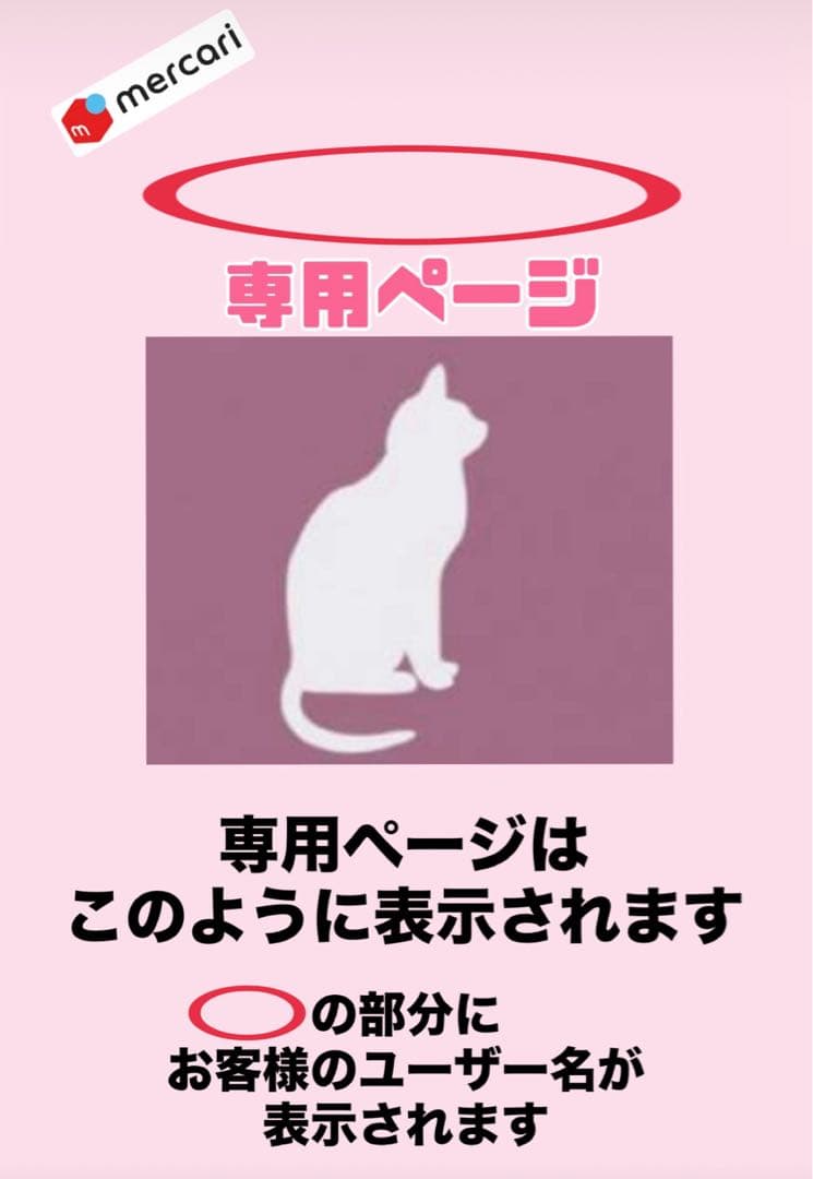 ニュートロシュプレモ　子猫用　（チキン&サーモン）　3kgパック×4袋