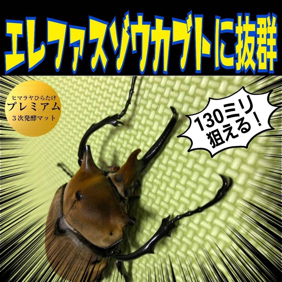 増量【80リットル】プレミアム3次発酵カブトムシマット☆特殊アミノ酸強化配合！