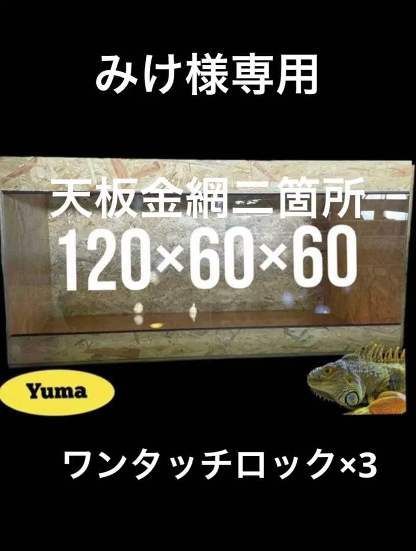 みけ　1206060