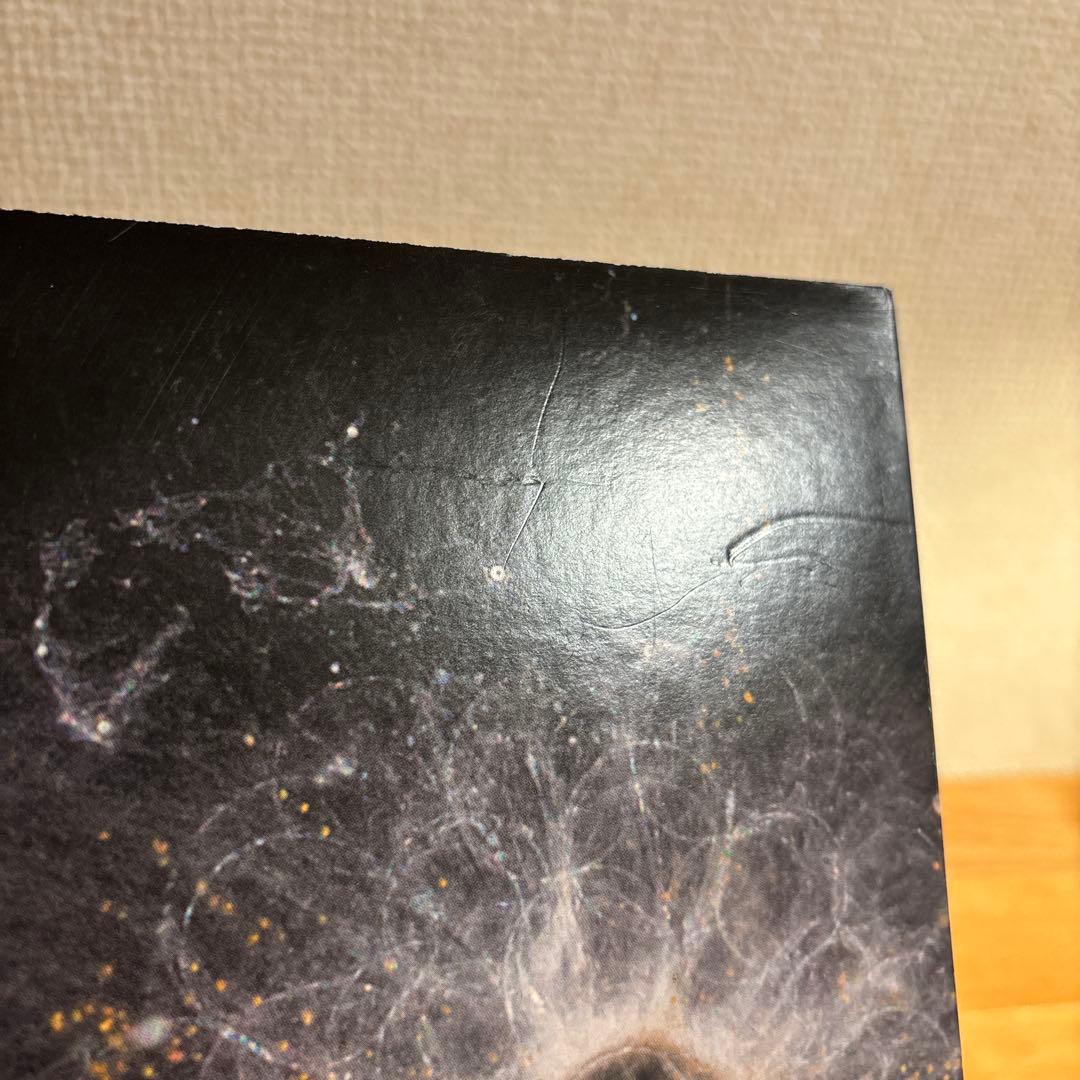 坂本龍一 plankton アナログ盤