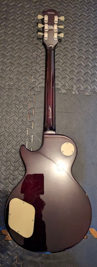 タ*坊様 #Burny #LSD-55N-EGA #イグアナバースト #ケース