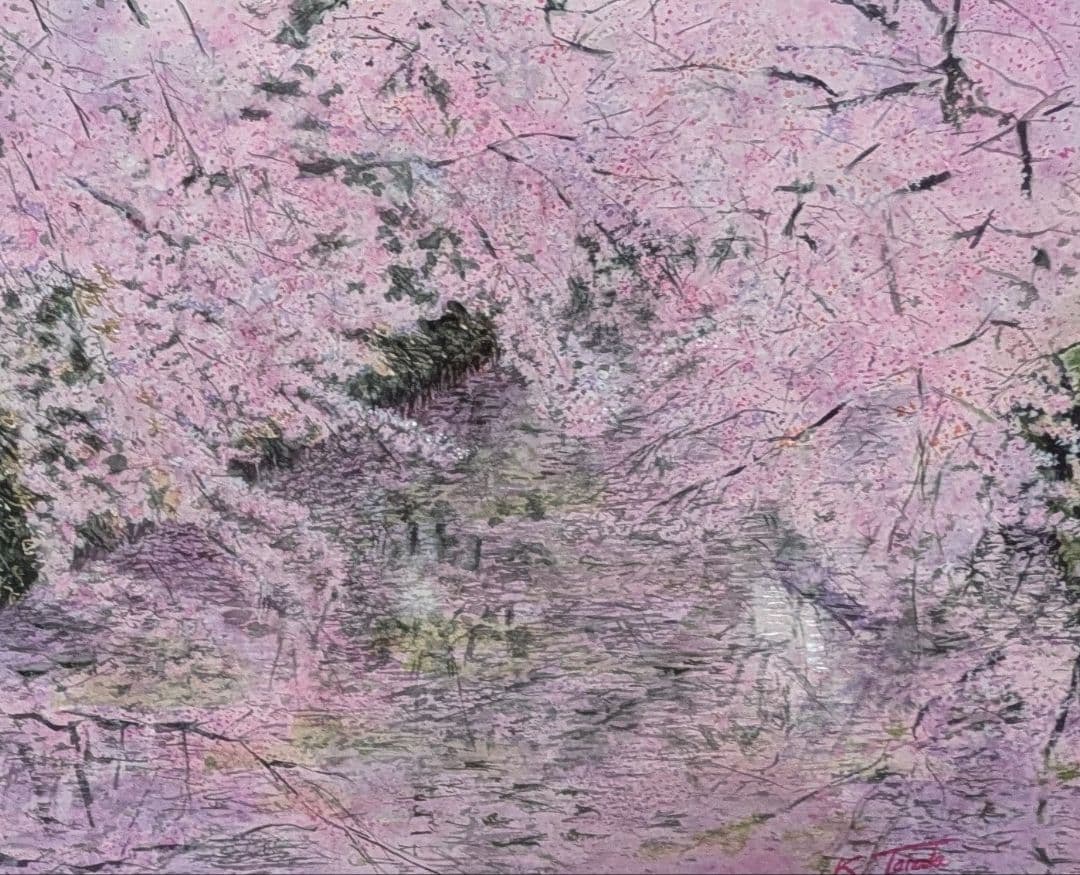 桜満開
