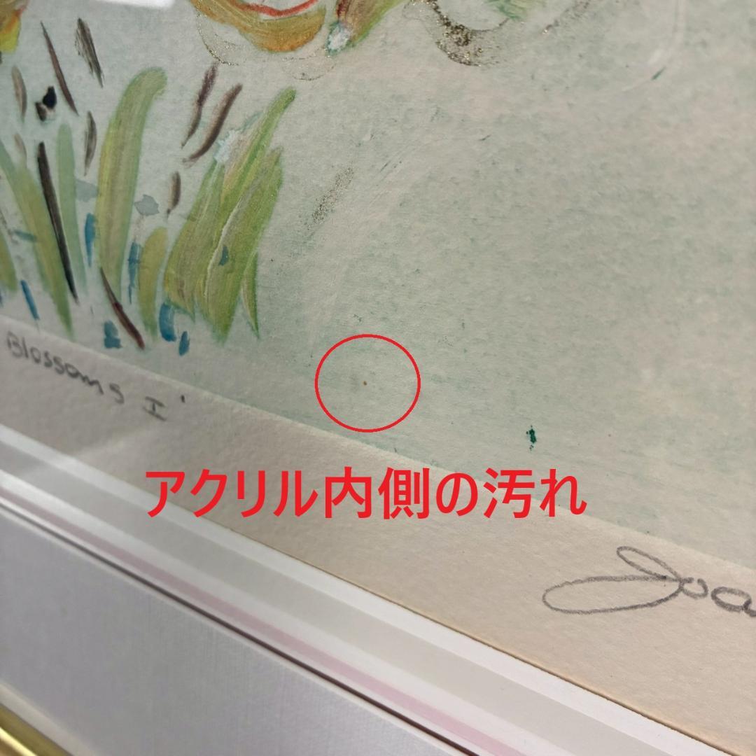 ジョアン・アイザック「Apple～」銅版画 1点物 直筆サイン入 お洒落な額装