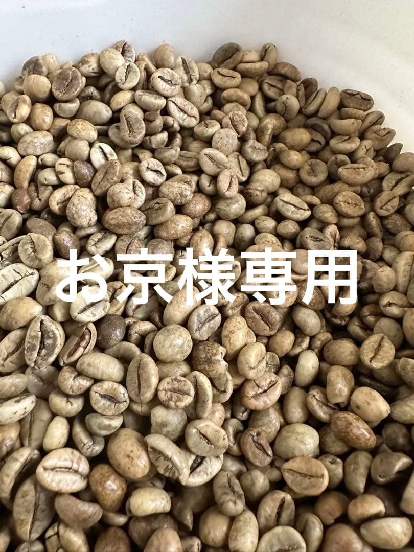 数量限定/セール!【コーヒー生豆】ジャバ/ロブスタ/インドネシア/スマトラ5kg