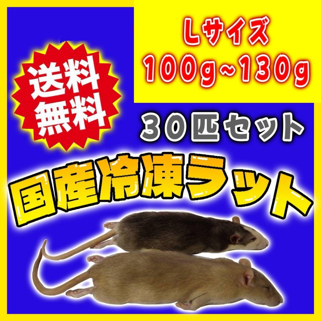 個包装 冷凍ラット 30匹セット 100~130g