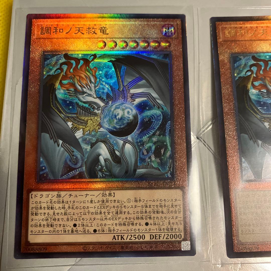 調和ノ天救竜　レリーフ2枚セット