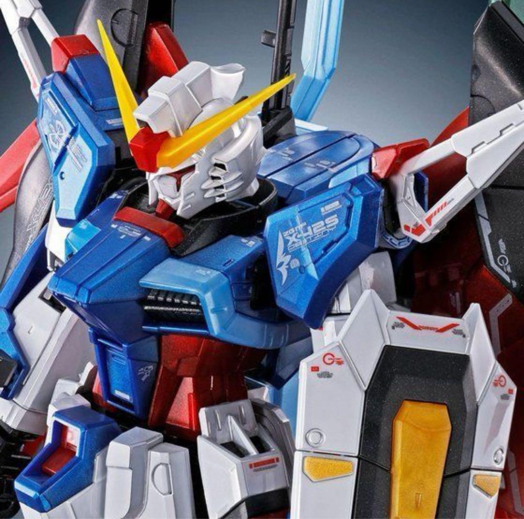 RG 1/144 デスティニーガンダム ［チタニウムフィニッシュ］光の翼セット