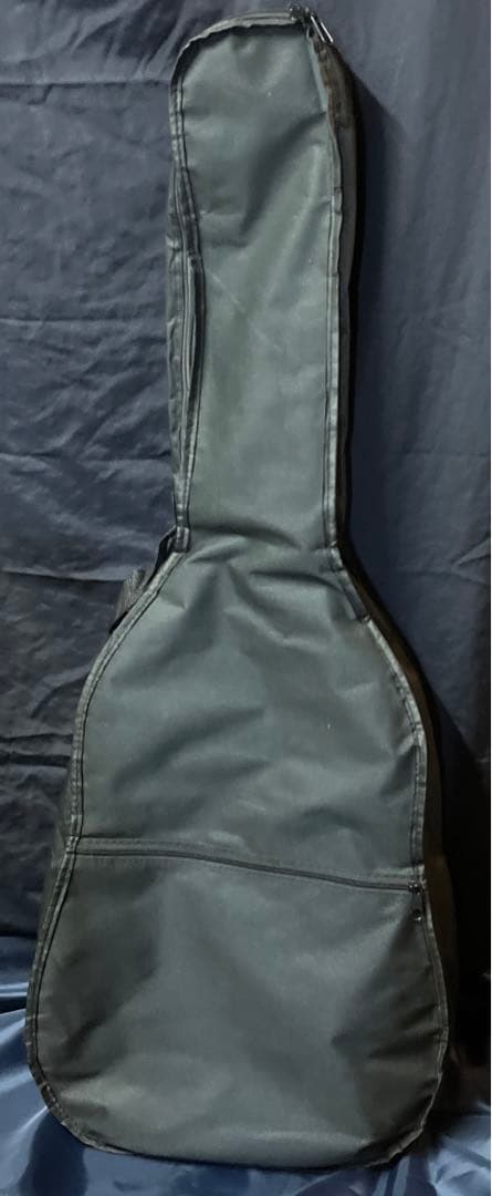 SELVA SF-1000S アコースティックギター