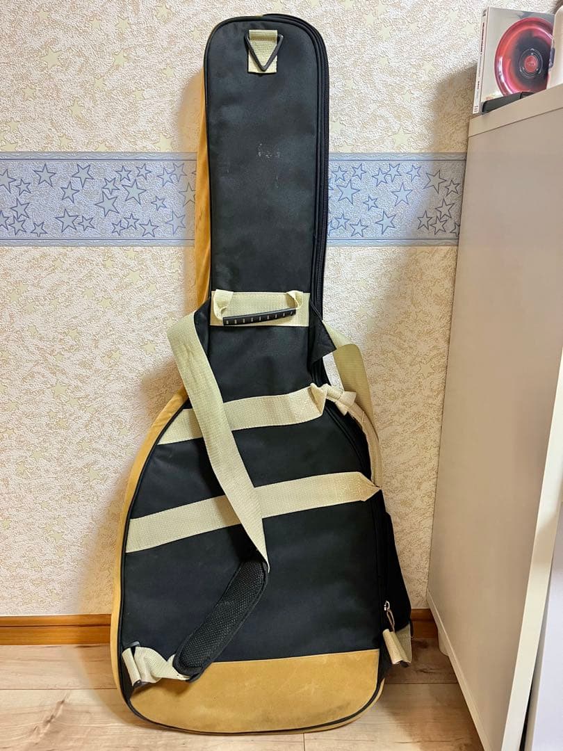 BUSKER’S BST-STD エレキギター サーフグリーン ソフトケース付
