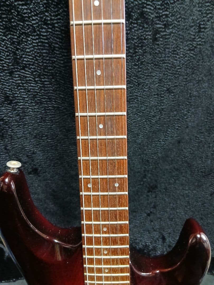 AriaproIIMAGNA Shires 中古ソフトケースシールドストラップ付