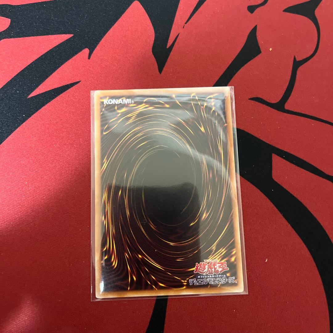 遊戯王 大輪の霊使い プリシク②