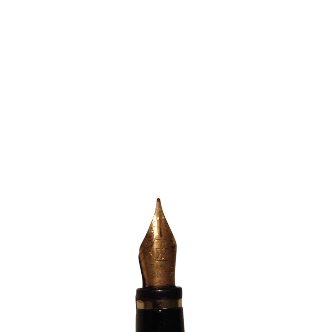 【美品】WATERMAN 万年筆 黒 金メッキ