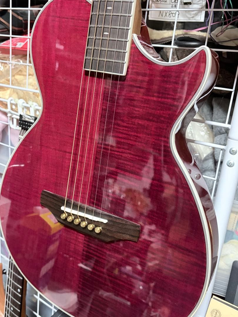 ARIA / APE-100 FISHMAN ProAfxEQ2&AURAセット
