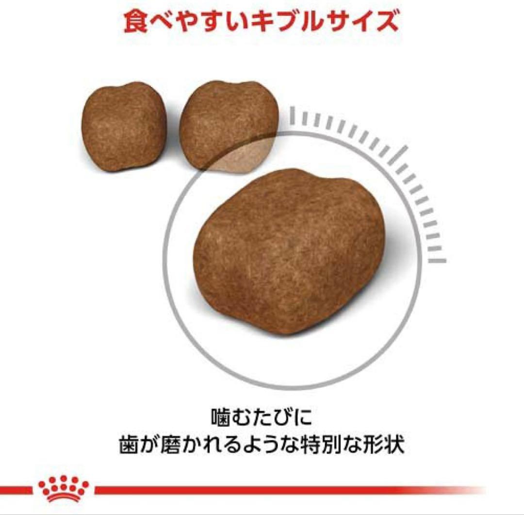 ロイヤルカナン フィーライン ケア ニュートリション デンタルケア(400g)