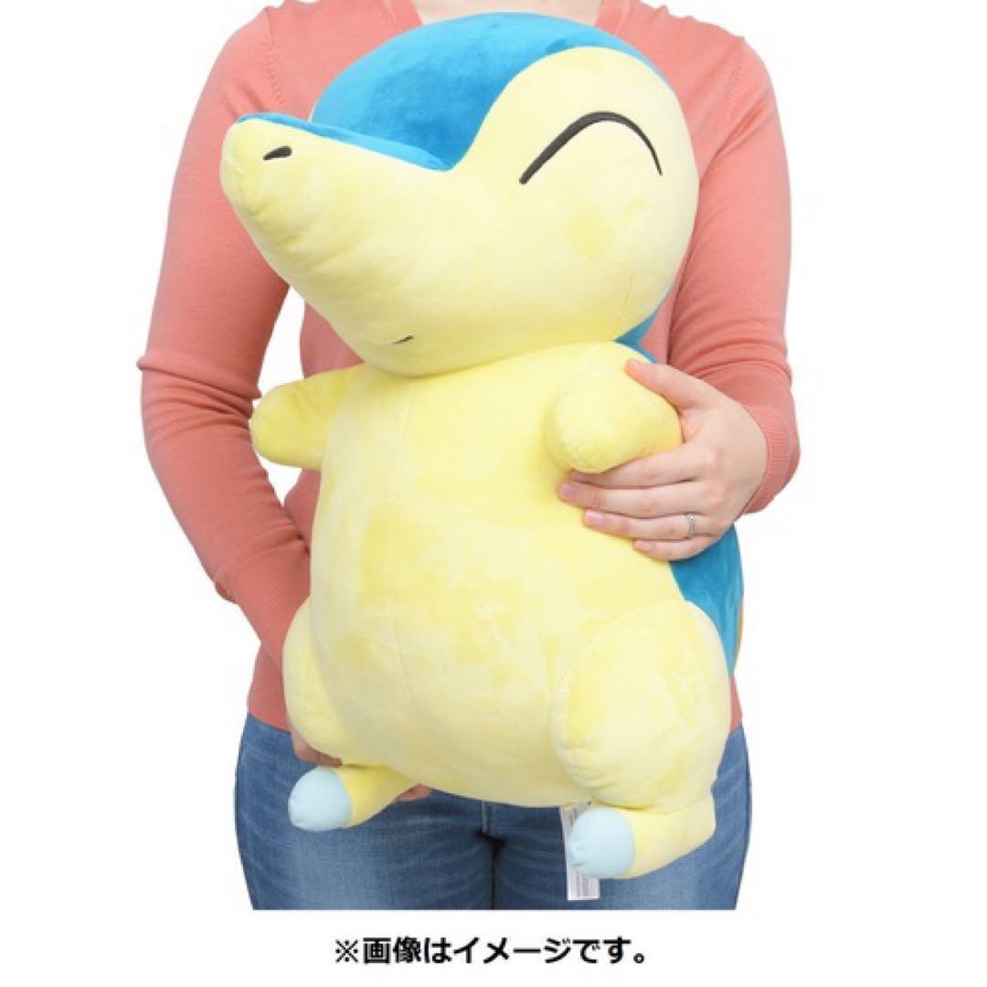等身大ヒノアラシ　ポケモンセンター限定