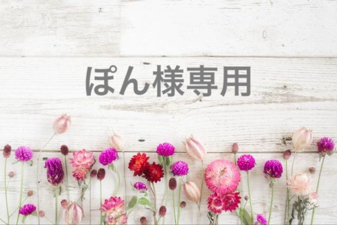 ぽん