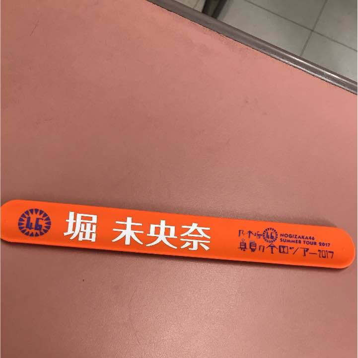 堀 未央奈