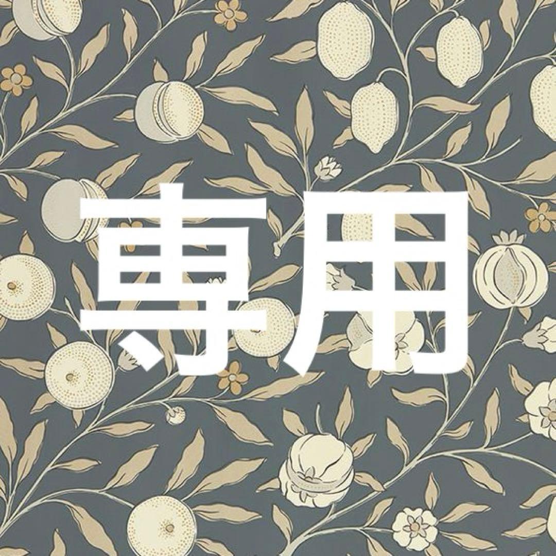 専用出品