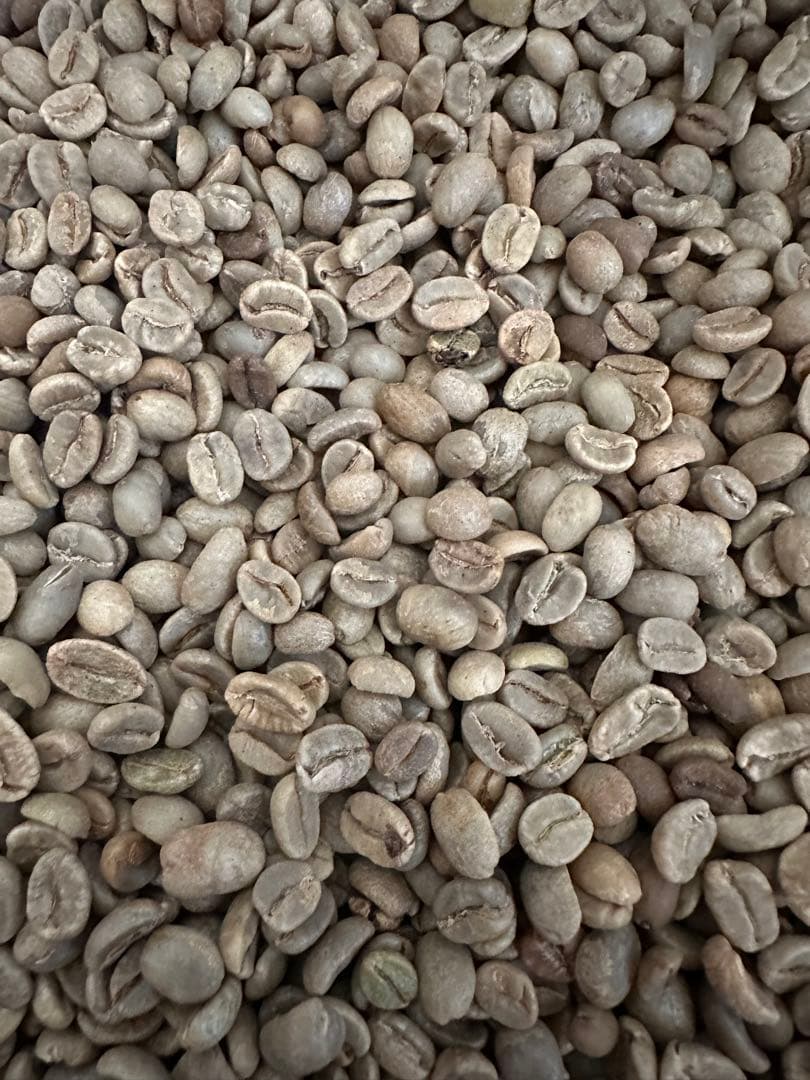 【コーヒー生豆】1.5kg/４種合計6kg ※送料無料