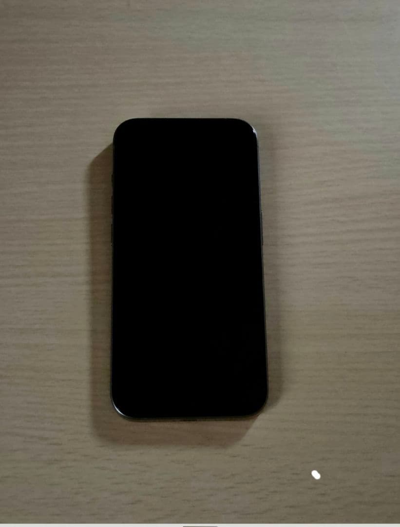 美品　Apple iPhone 15 Pro