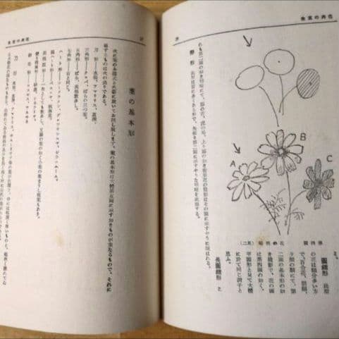 【昭和9年/1934年】アトリエ美術大講座 水彩画科 第4巻 静物・人物・動物画