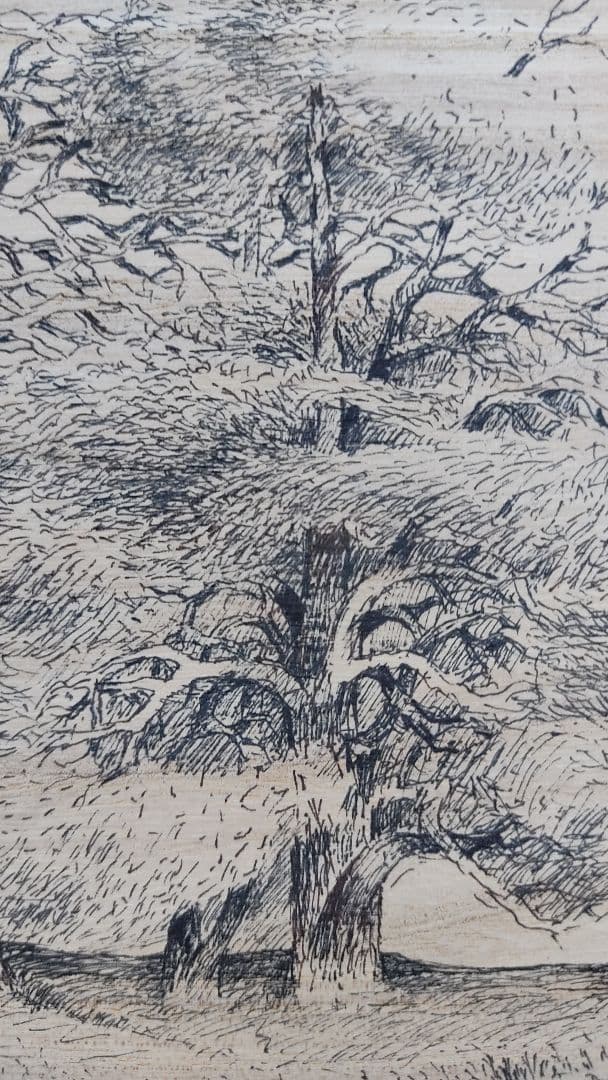 ペン画/板