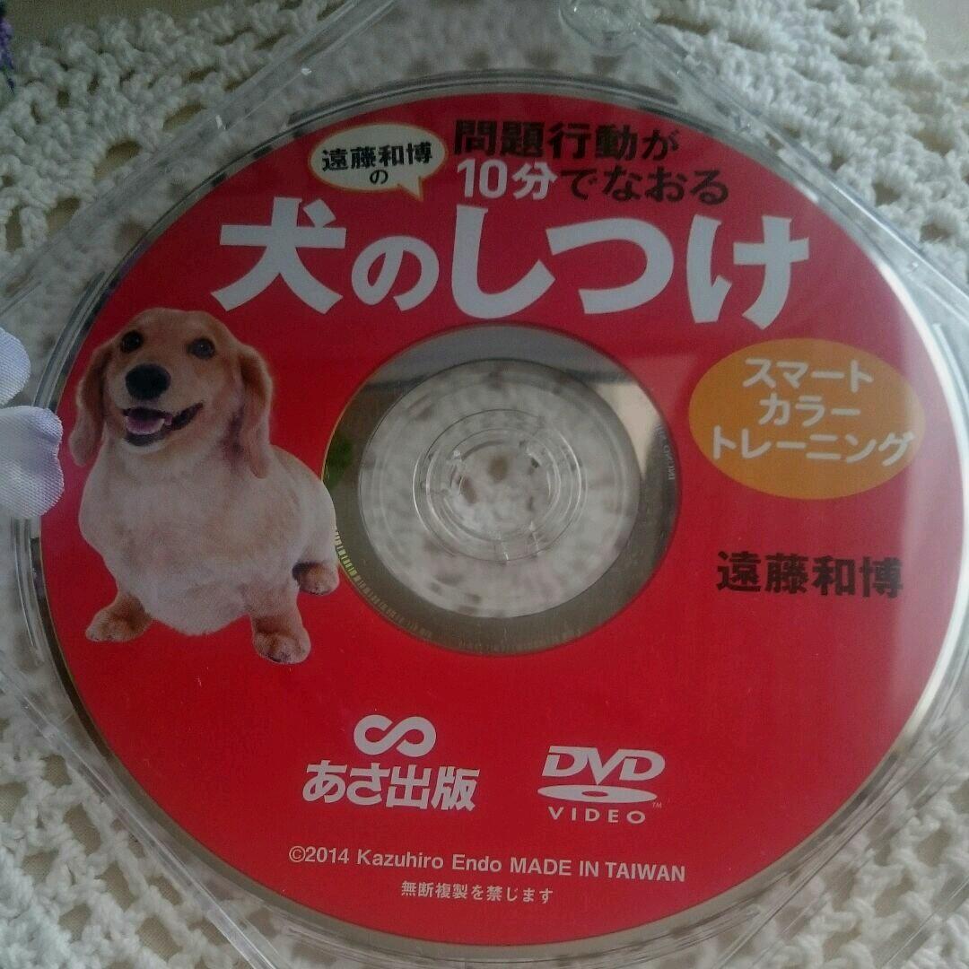 かめたんです