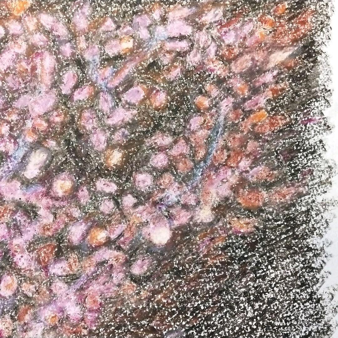 絵（原画）
