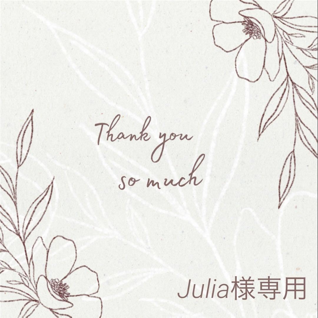Julia様 リクエスト 3点 まとめ商品