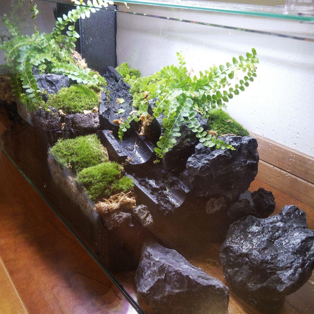 確認ページ