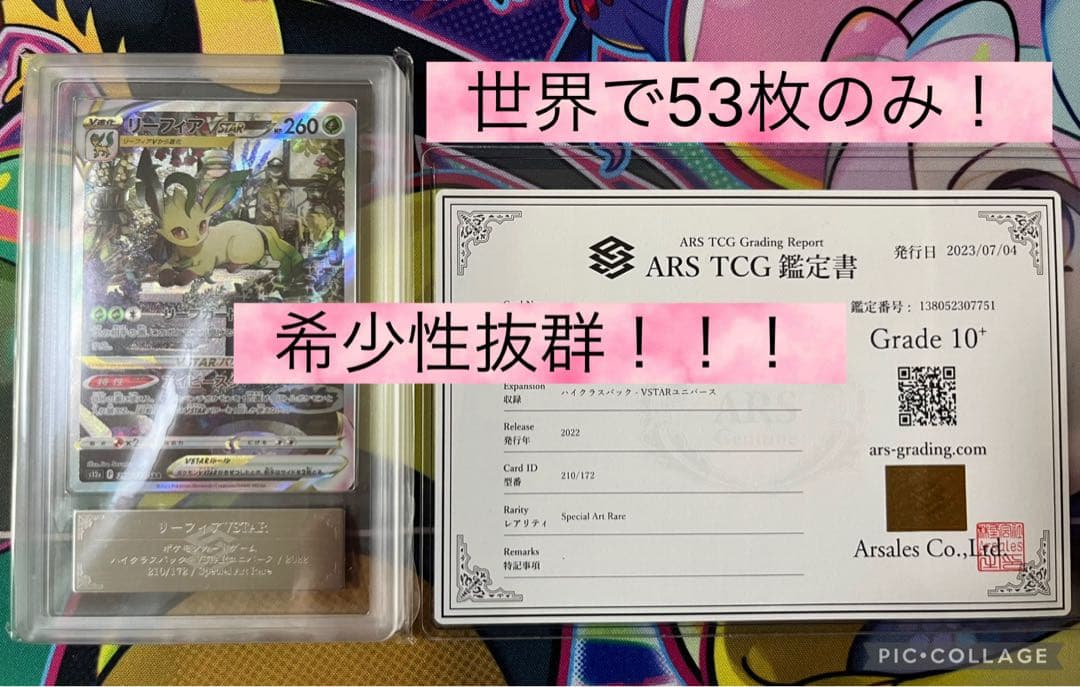 【世界で53枚】リーフィアVSTAR SAR 極希少品