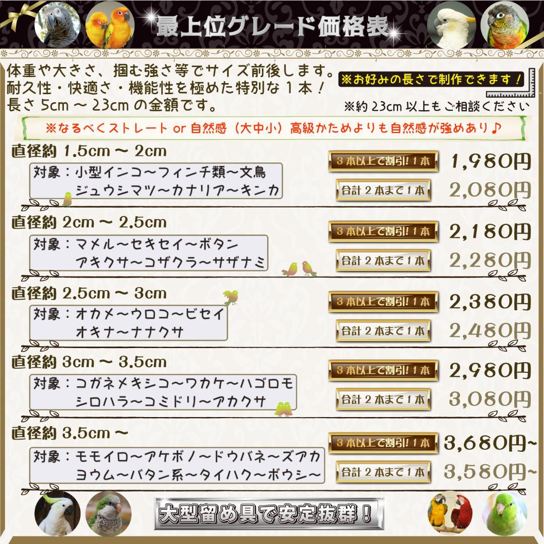 その他 KAZU