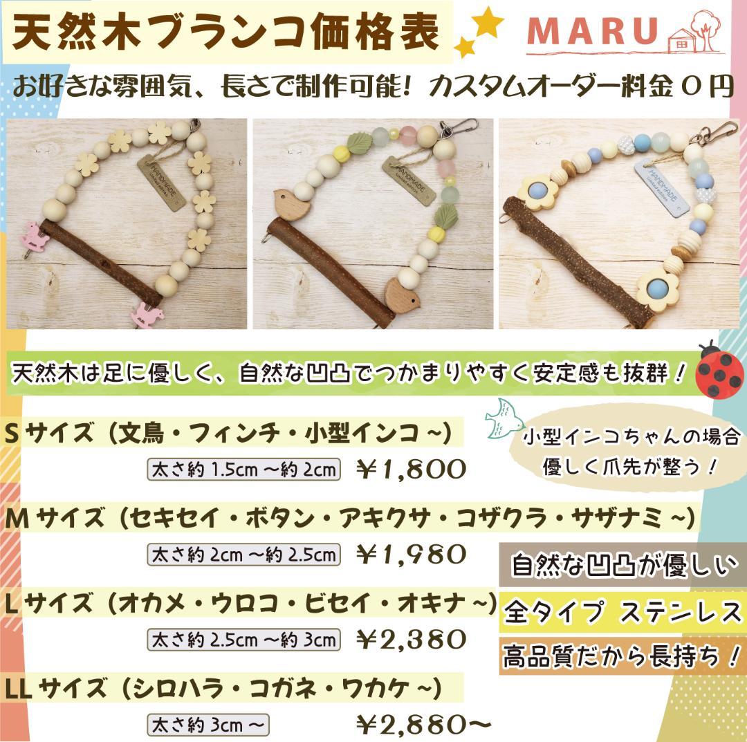 その他 KAZU