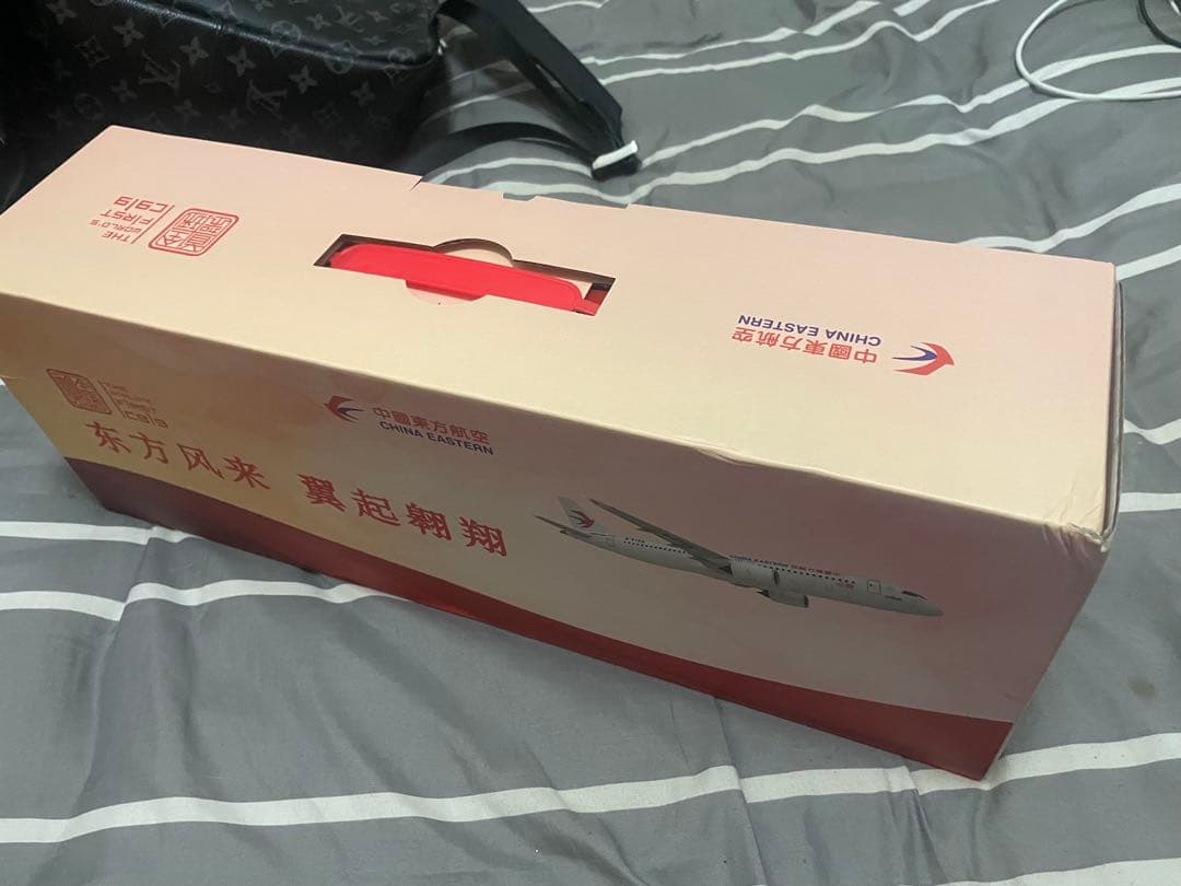 お*ん様 【希少品】C919 1/100 世界初の中国産旅客機 37cm 金属製