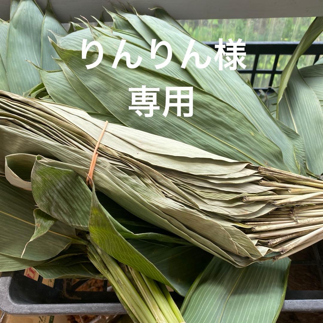 乾燥笹