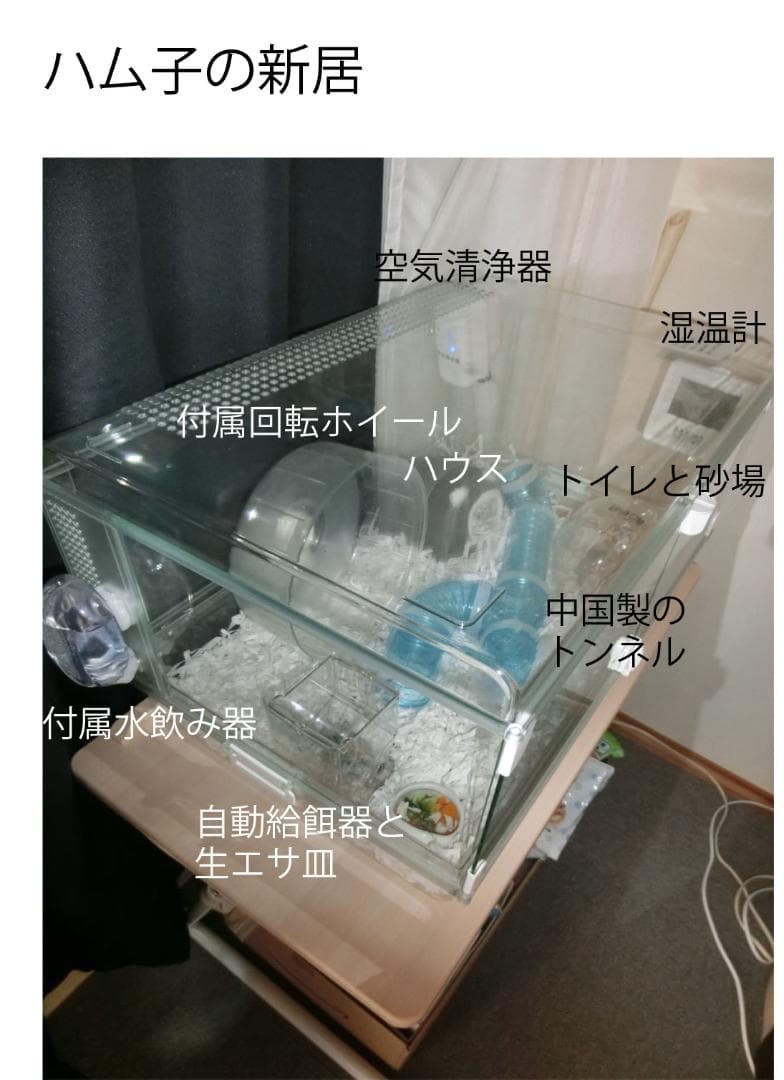 ハムスター用市販最大ケージ、他一式ハムスター（4個組）