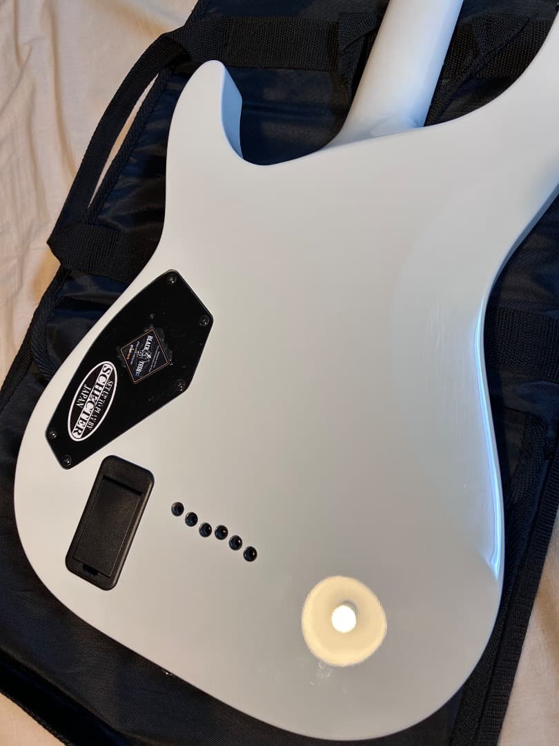 ギター SCHECTER HELLRAISER C-1 WHT