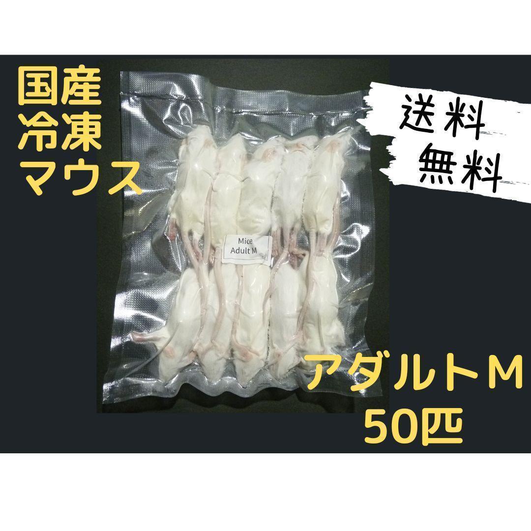 ★✌︎('ω'✌︎ )★国産冷凍マウス アダルトM 50匹ピンクL100匹