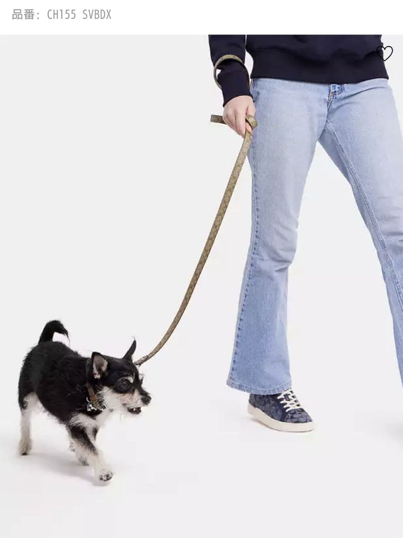 coach dog collar シグネチャー リード&首輪 セット 小型犬