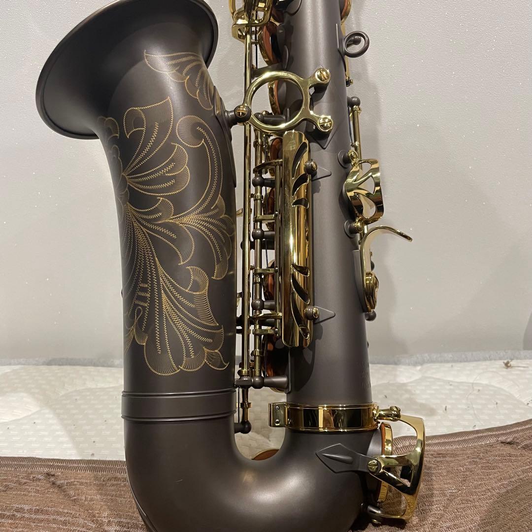 管楽器・吹奏楽器 Festi FAS-3000GML