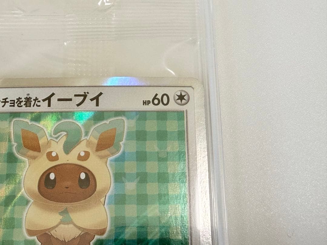 ポンチョを着たイーブイ（リーフィア） プロモ　未開封パック