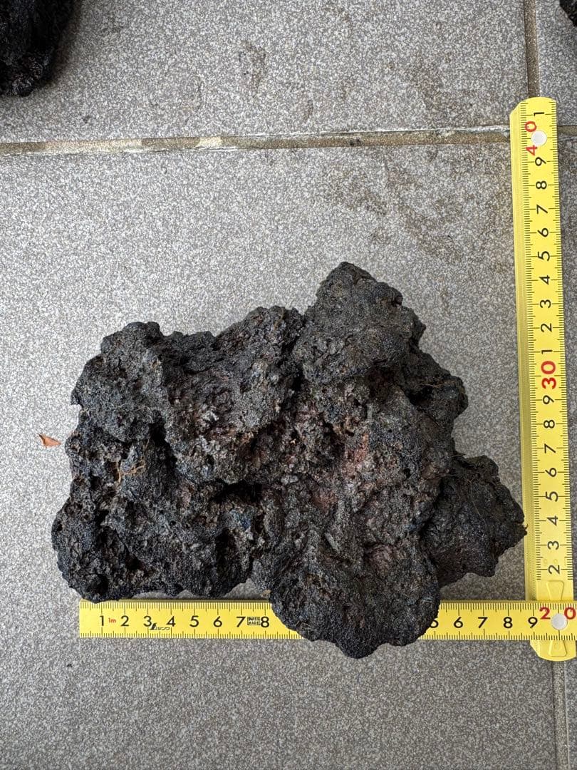 サムライラバロック　大量