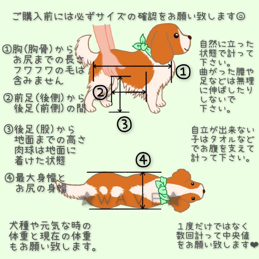 key　犬用車椅子　犬の歩行器　歩行補助　ハーネス　犬の車いす　マルプー